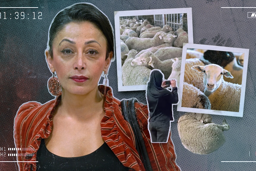 Composite of a woman wearing a black top and red jacket, with a collage of photos of sheep.