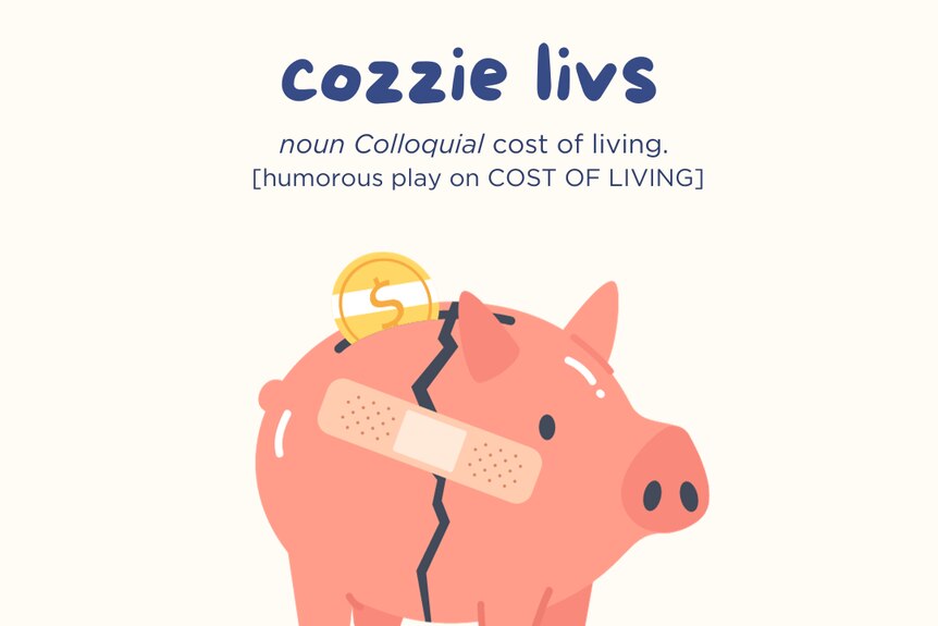 A broken piggy bank with a coin going in describing the term cozzie livs