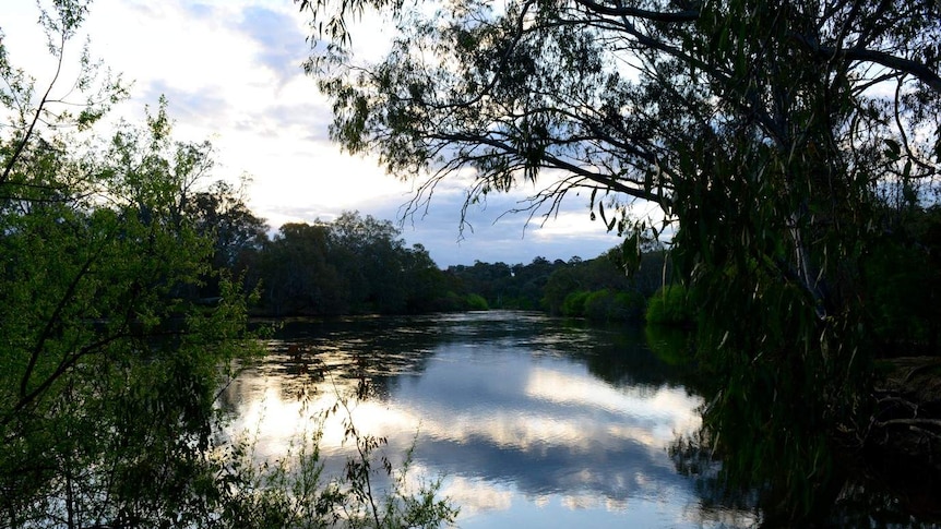 A view of the Murray River.