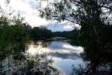 A view of the Murray River.