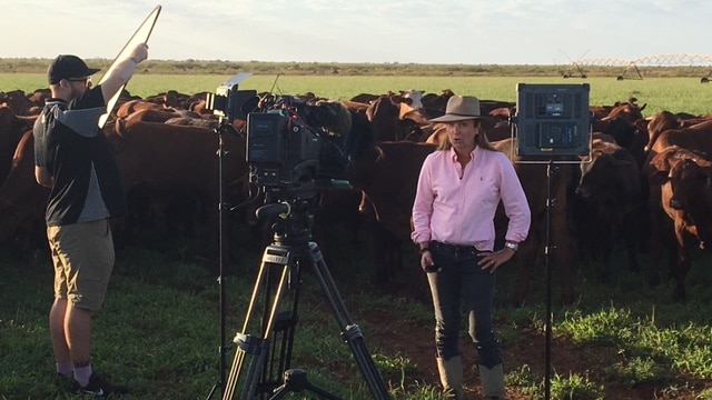 Pip Courtney in front of herd of cows surrounded by video camera, light stands and sound recordist holding reflector board.