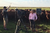 Pip Courtney in front of herd of cows surrounded by video camera, light stands and sound recordist holding reflector board.
