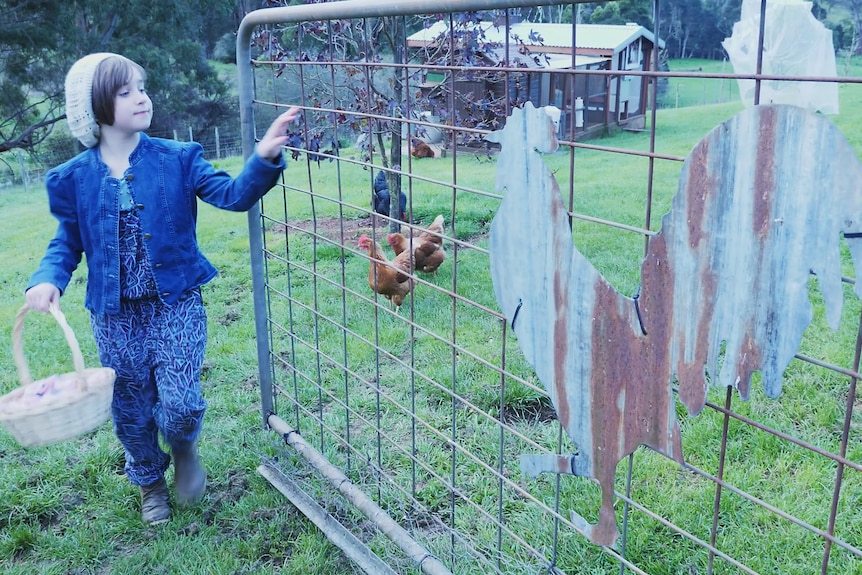 A little girl with a basket of eggs shutting the gate to keep chickens in