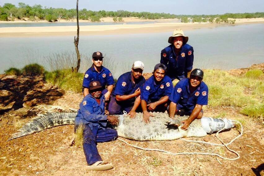 Croc caught at Telegraph Pool