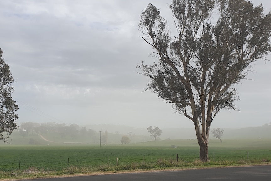 Dust hovers in a valley.