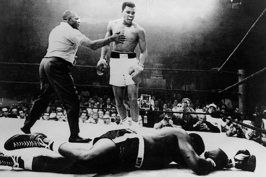 Muhammad Ali quote: I'm the greatest thing that ever lived! I'm the king