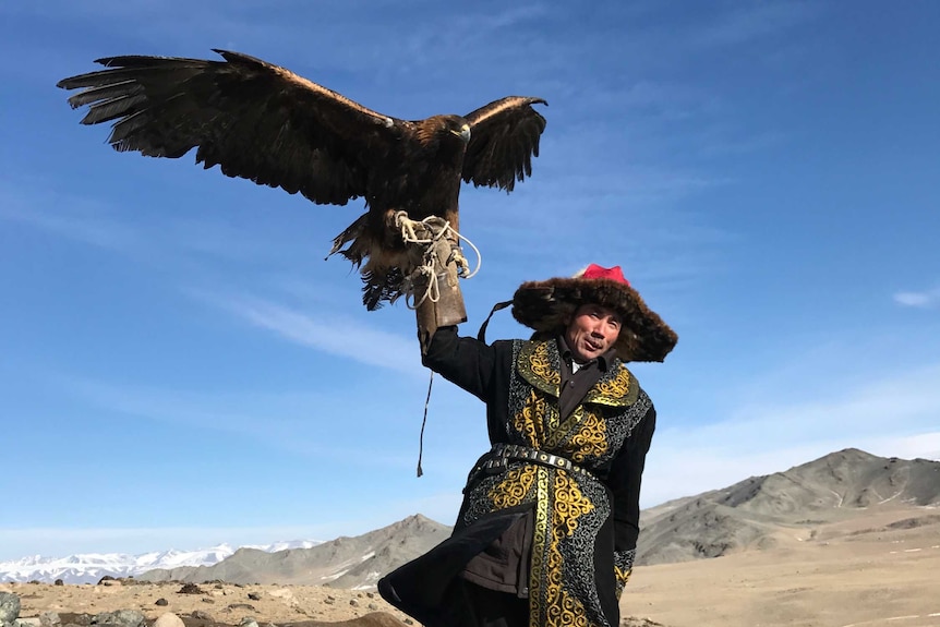 Mongolian eagle hunter holds golden eagle above his head as the bird prepares to fly. April 2017.