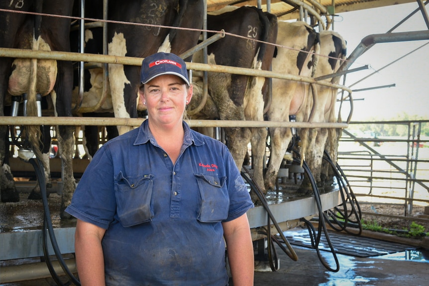 A woman in a navy shirt and cap stands in front of cows being milked.