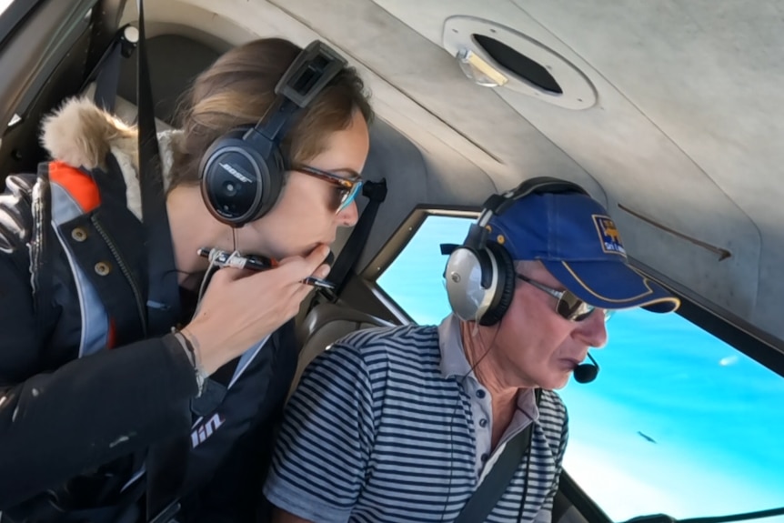 Photo from cockpit, a whale is visible out the window, looking like a streak of black in blue water