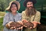A lady in a floppy hat, and a  bloke with a big bushy beard and hat hold up earthworms in their hands.