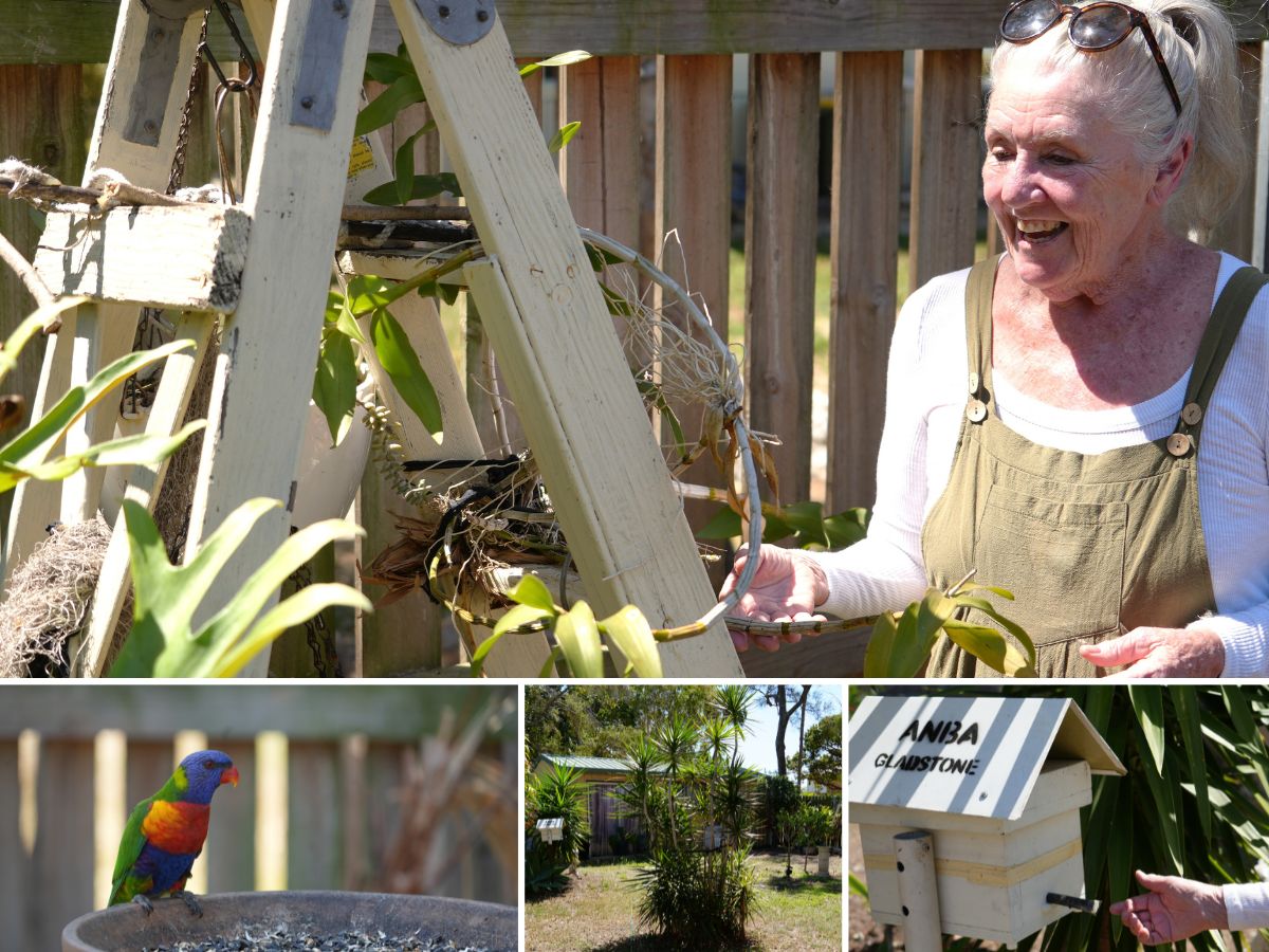 A mature woman smiling at pot plants stacked on an older ladder in front of a garden fence.