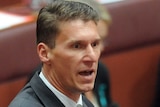 Cory Bernardi has taken a swipe at his Government's decision to bring in a debt tax.