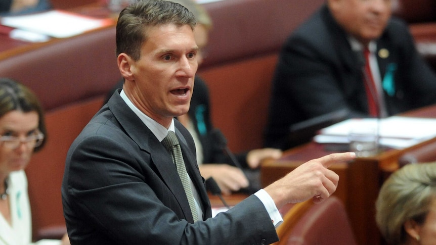 Coalition senator Cory Bernardi speaking in the Senate chamber at Parliament House in Canberra.