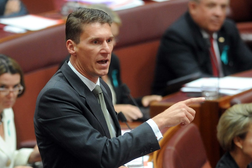 Coalition senator Cory Bernardi speaking in the Senate chamber at Parliament House in Canberra.