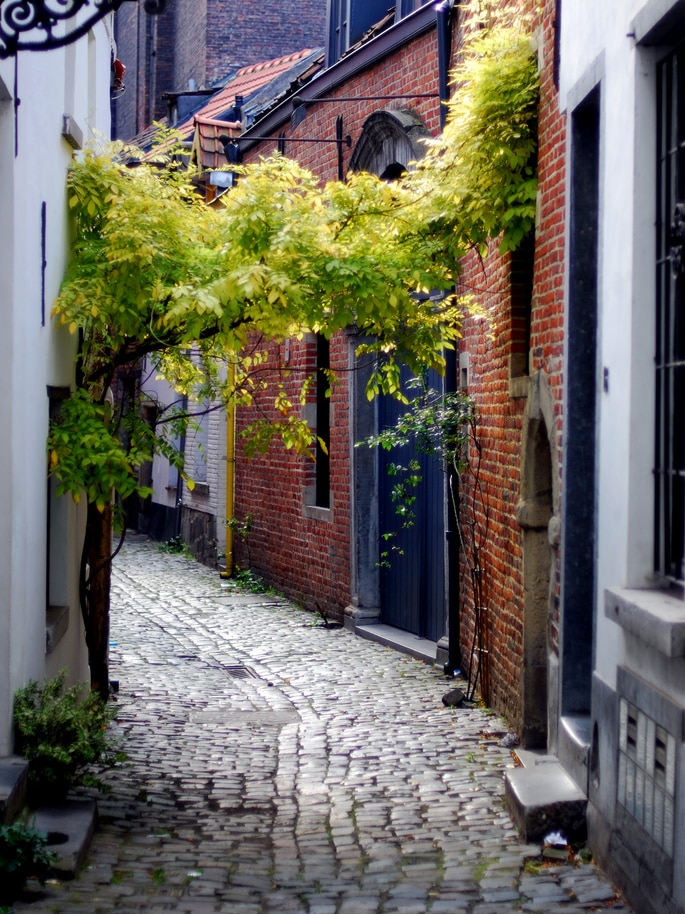 Alley in Brussels