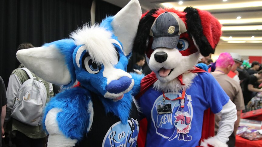Furry online streamer Pocari Roo and Beagle in Red
