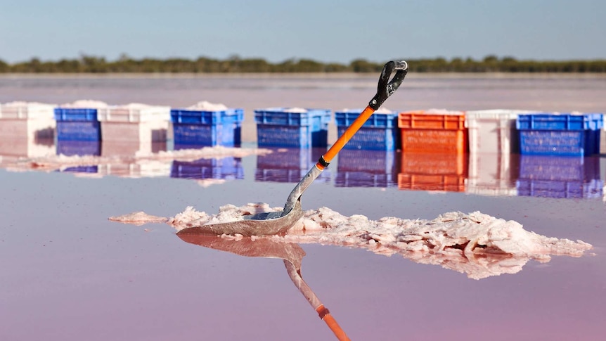 Colourful buckets are lined up across the lake's reflective surface.