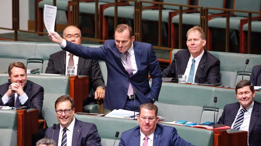 Tony Abbott on his feet in Parliament holding papers
