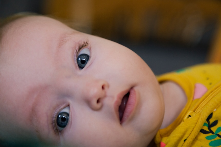 A close up photo of six month old baby Amelie looking into the camera.