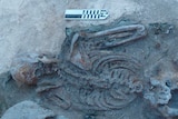 Remains of Alexander 'Sandy' Bonnyman Jr on Tarawa