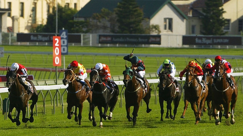 Generic horse race from AJC Randwick in Sydney