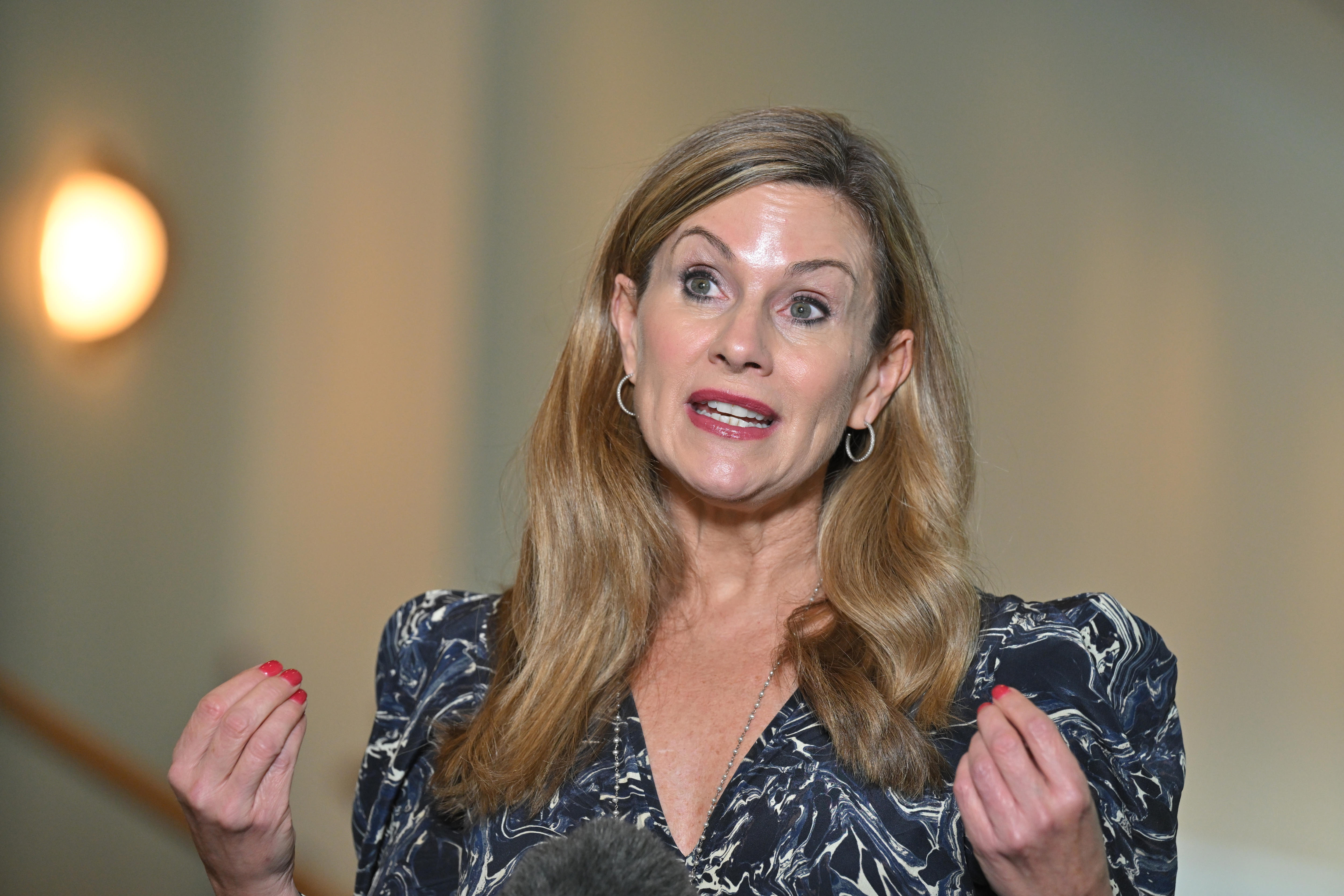 JULIE INMAN GRANT TV INTERVIEW