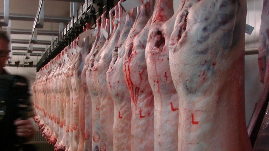 Tasmanian Quality Meats is lifting processing capacity, to add more value to its lamb.