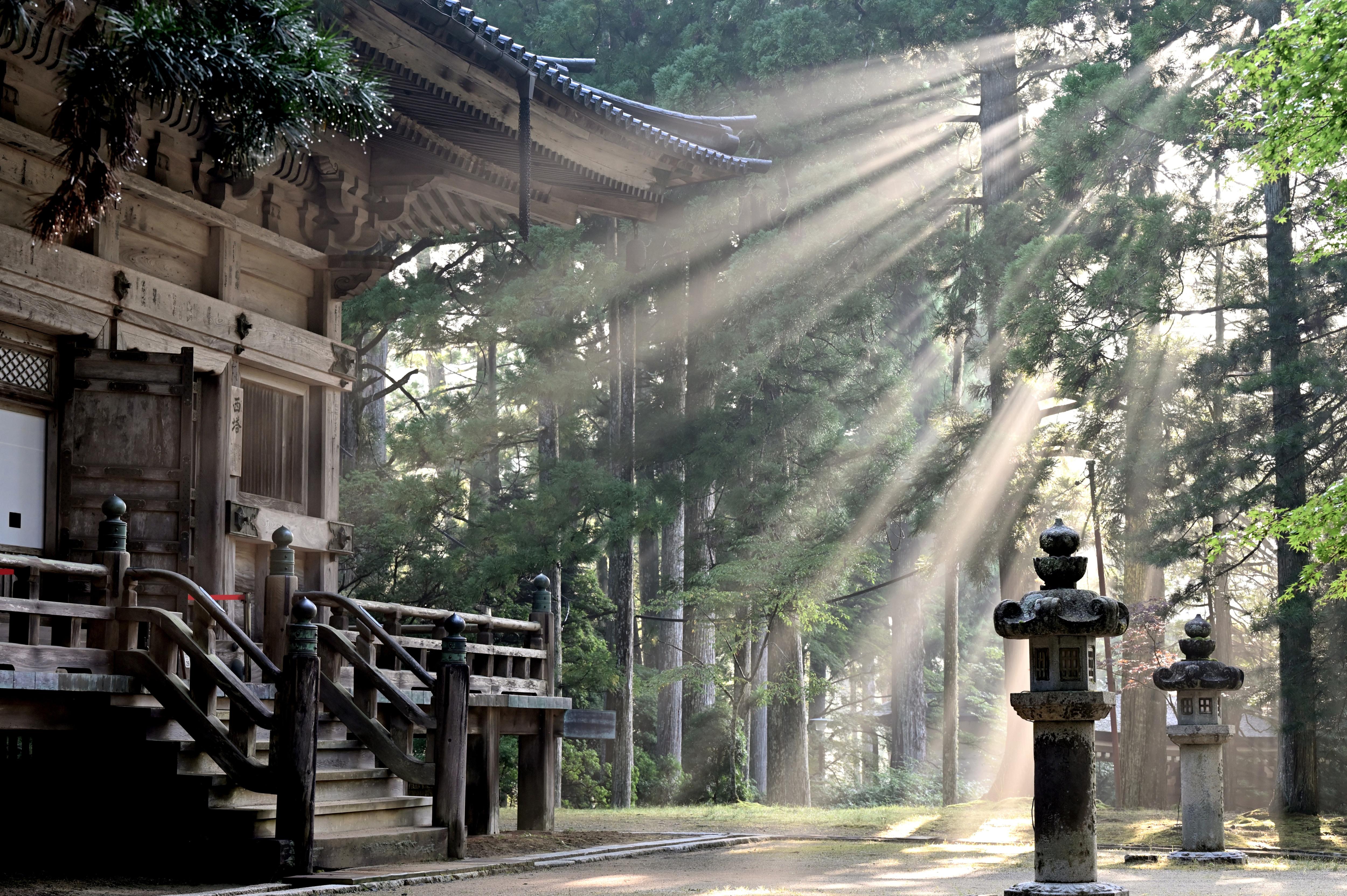 Visit the Japanese cemetery where a long dead monk is fed three meals a day episode artwork