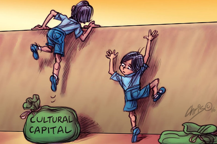 Cartoon demonstrating a boy getting a leg up over a fence from a bag labelled cultural capital'. The boy next to him struggles.