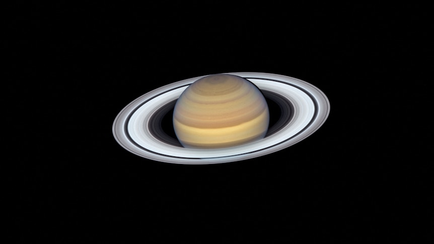 Saturn and its rings on a pitch black background. 