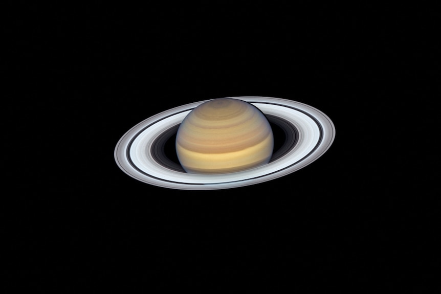 Saturn and its rings on a pitch black background. 