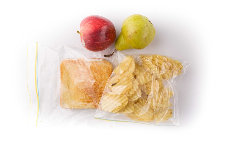 A fried egg toasted sandwich, potato chips, an apple and a pear on a white background.