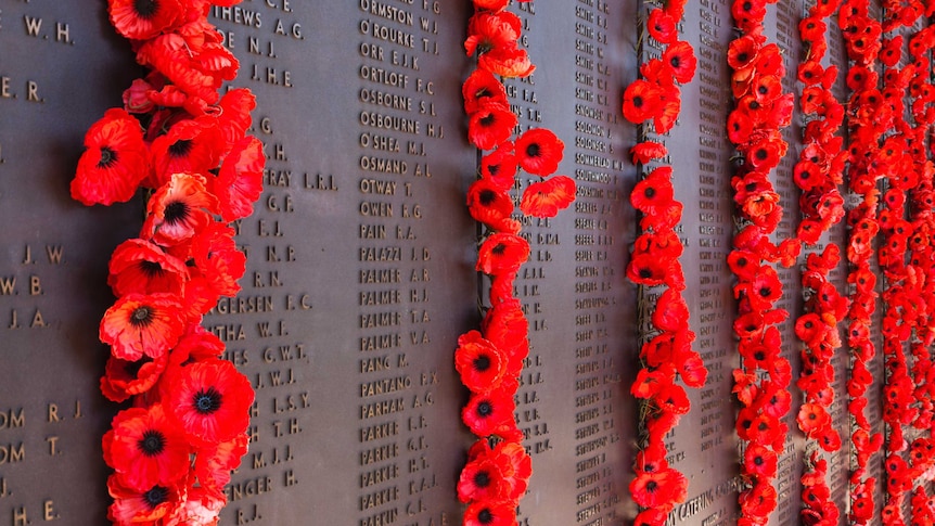 ACT, Canberra, Australian War Memorial, Hall of Memory, poppies on lists of fallen Australian soldiers