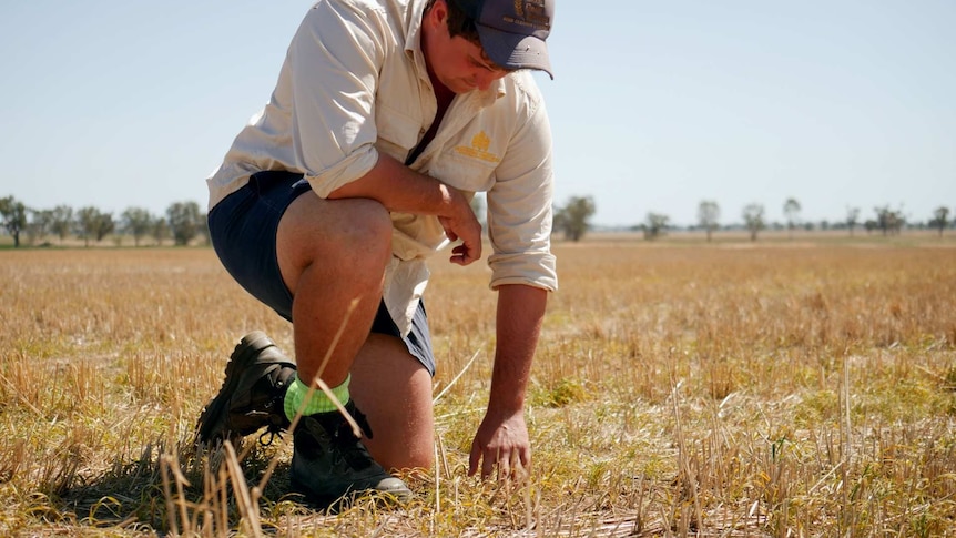 A man with a cap crouching in paddock