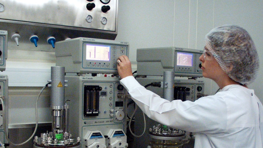 A researcher working on cancer vaccines at a QIMR lab.