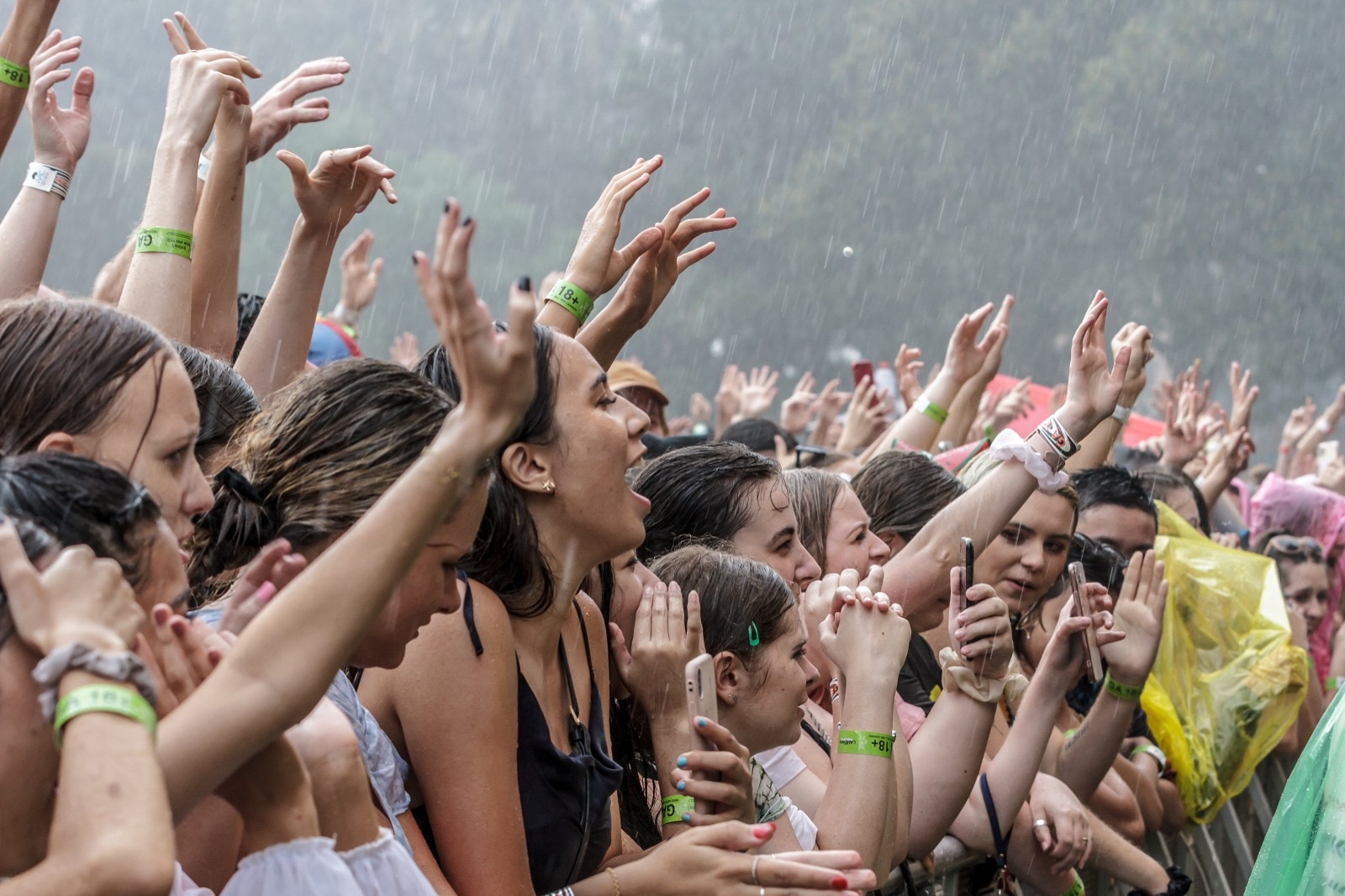 Do the stans ruel the 2020 Laneway Festival? triple j