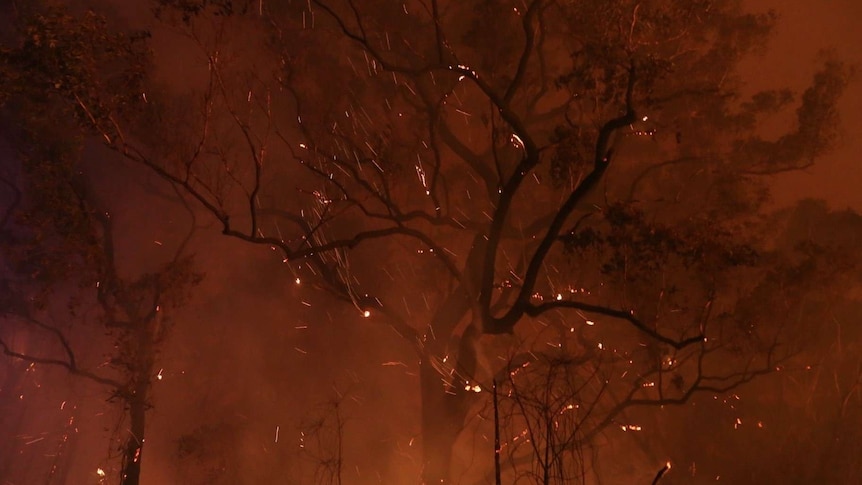 Embers rain down on an eerie bushfire red background