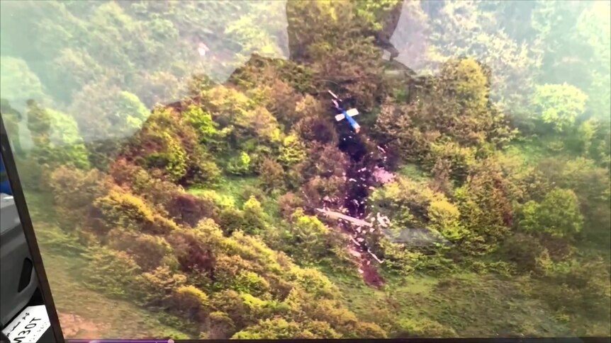 A screengrab of a computer monitor displaying green bushland with a helicopter crash in the middle.