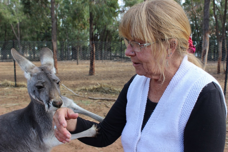 A woman feeds a kangaroo