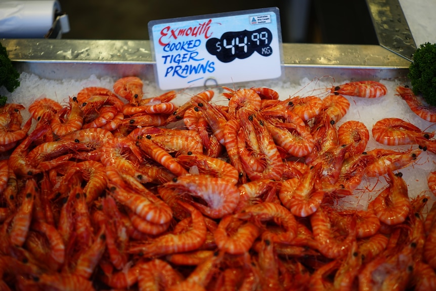 An ice tray filled with prawns, with a sign that reads 'Exmouth cooked tiger prawns'.