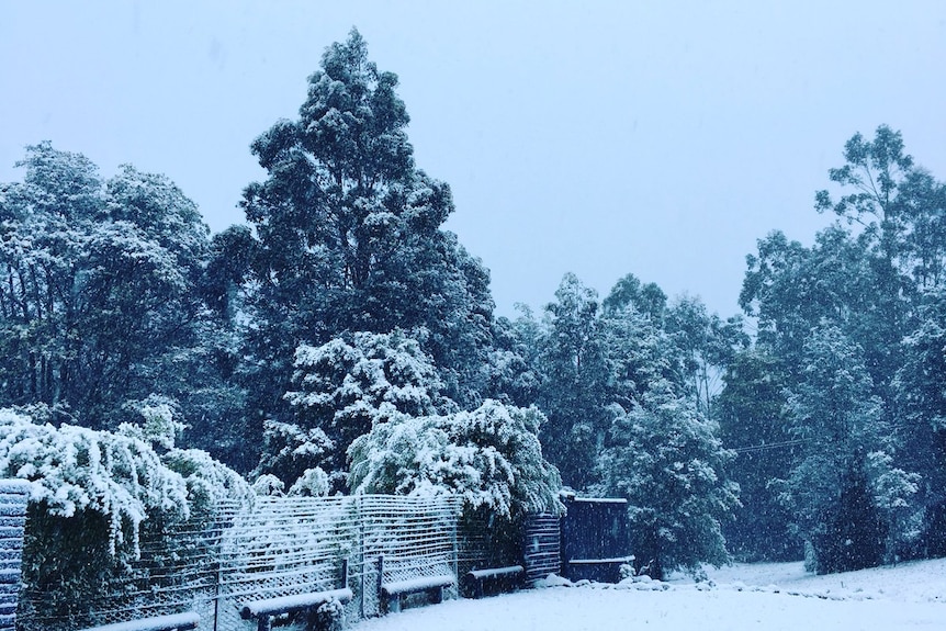 A winter wonderland in Tasmania.