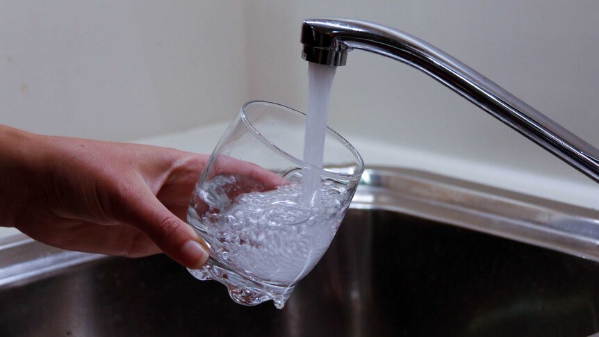 Hand holds a glass filling with water from a kitchen tap