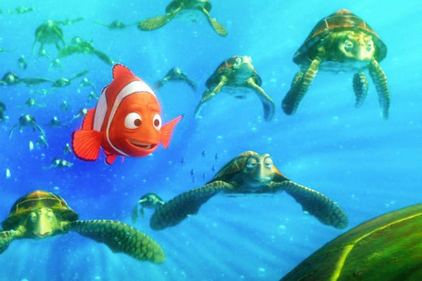 Scene from Finding Nemo.