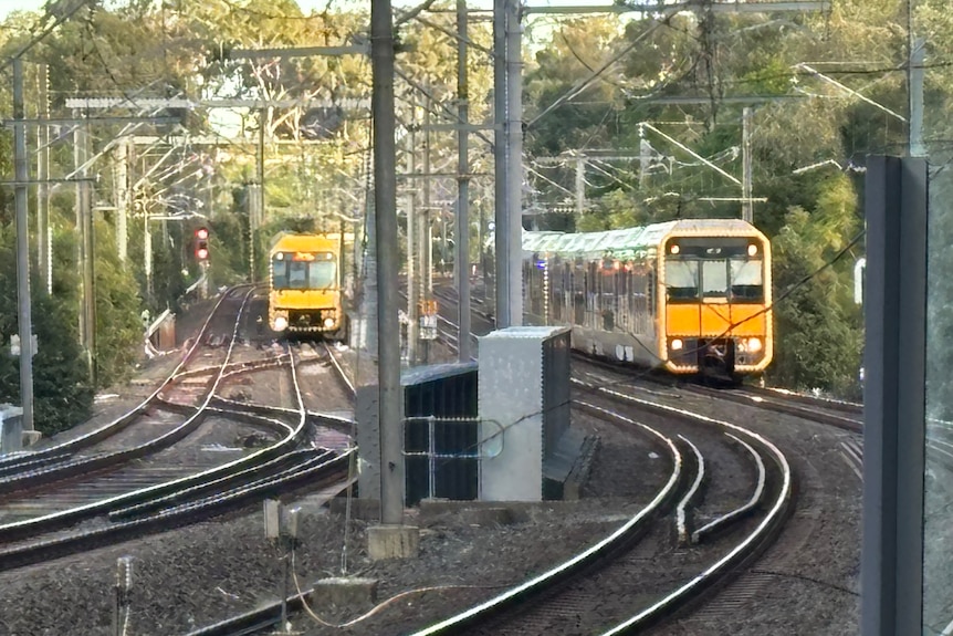 Grainy image of two trains stationary in tracks