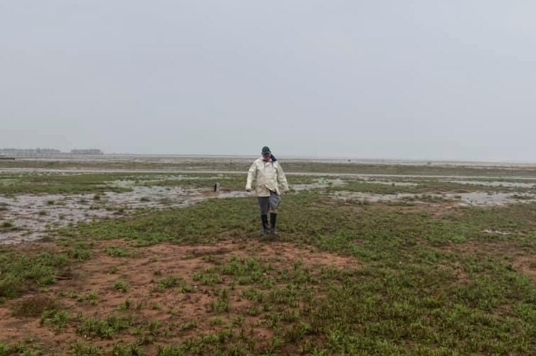A farmer walks through a wet paddock south of Broome