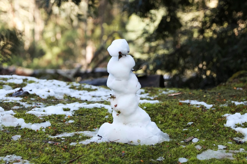 A small snowman sits atop the mossy ground.