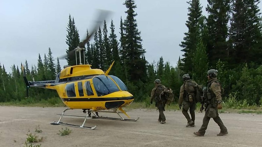 Canadian police officers walk towards a yellow helicopter on a forest road.
