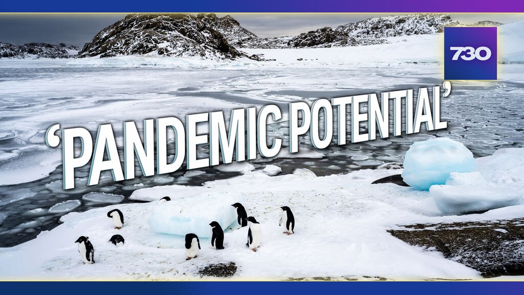 The deadly H5N1 bird flu is only a few steps away from 'pandemic ...