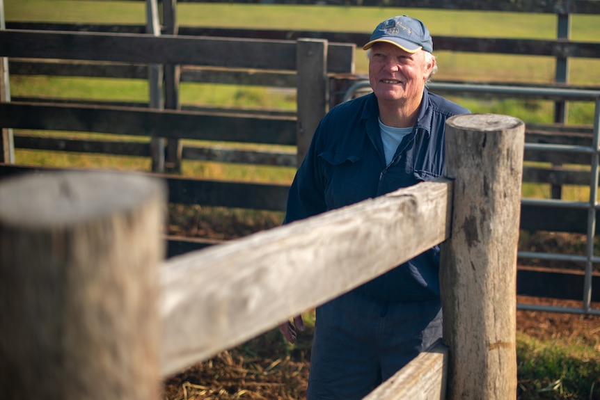 A man wearing a cap and work clothes stands on the inside of cattle yards behind a large wooden fence.