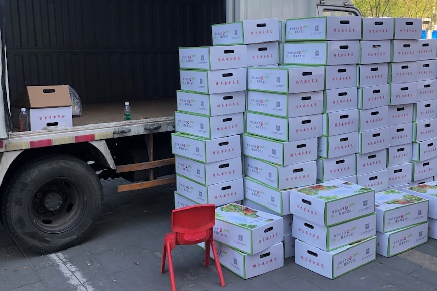 Boxes of vegetables getting unloaded.